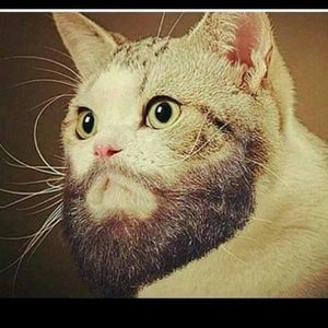 Meet your Posher, Cory